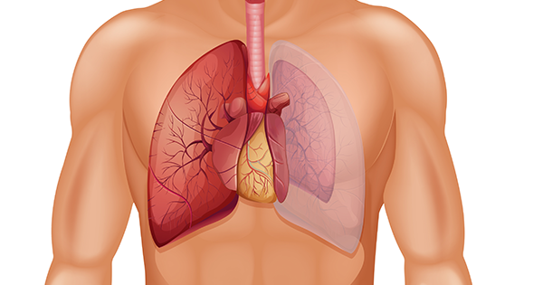 Akciğer Sönmesi (Pnömotoraks) Nedir?